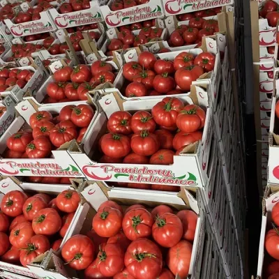 pomidory-czerwone-2